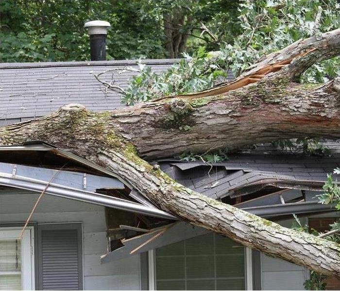 Large tree laying on damaged roof of house.